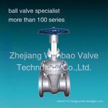 API Wcb Flanged Gate Valve 300lb